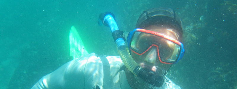 Adventure Snorking Tour near Cape Town