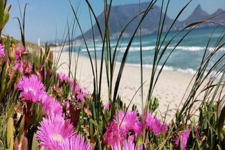 Adventure The Milnerton Meander near Cape Town