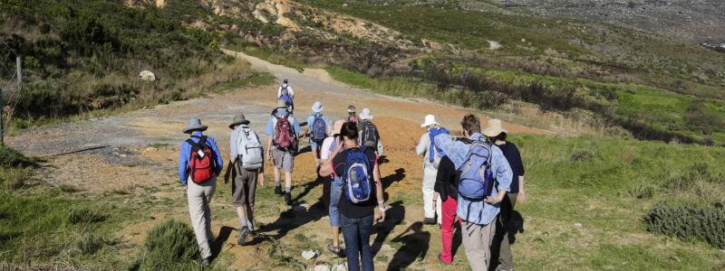 Adventure Hiking & Walking Tour near Cape Town