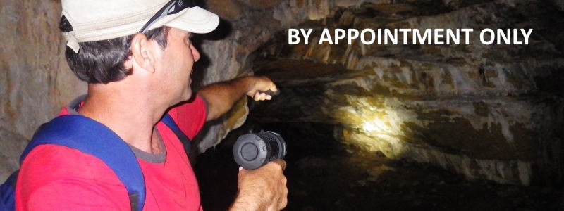 Take a tunnel tour beneath Cape Town